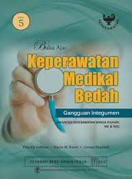 Buku Ajar Keperawatan Medikal Bedah : Gangguan Integumen